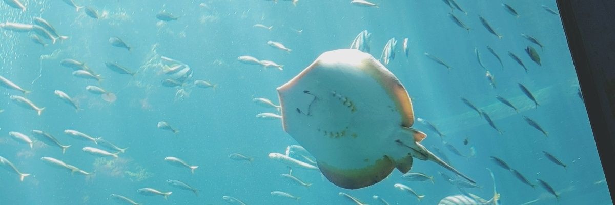 16DoDoDo16's profile banner image