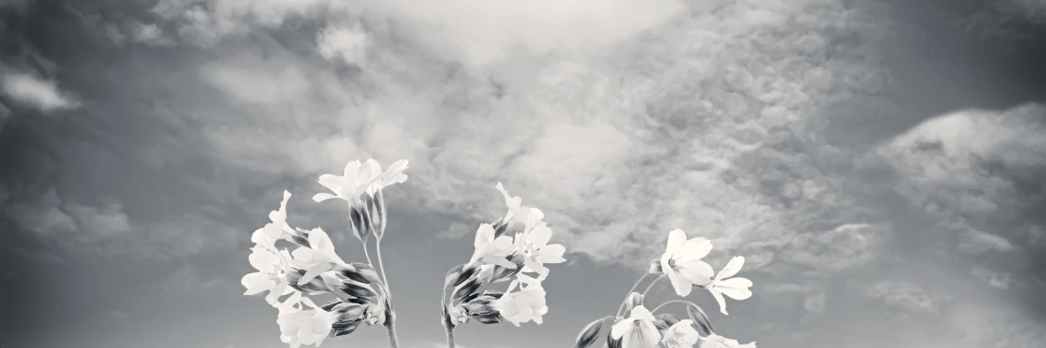 se4nce's profile banner image