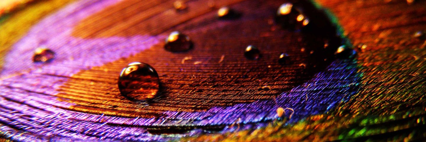 al7lem's profile banner image