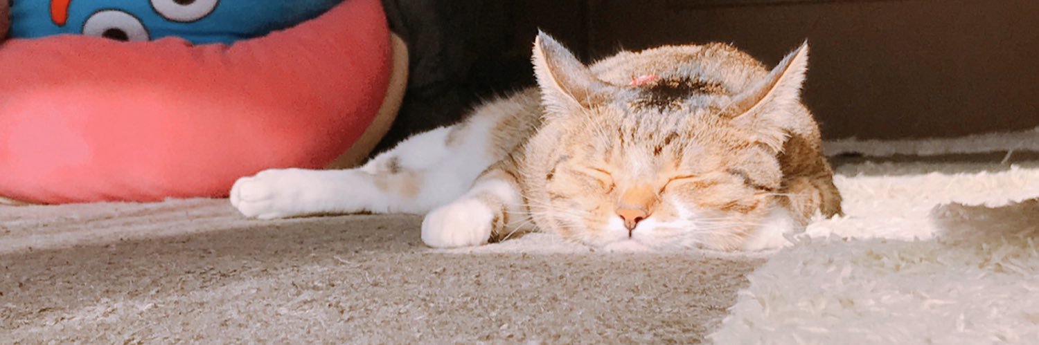 gatajun's profile banner image