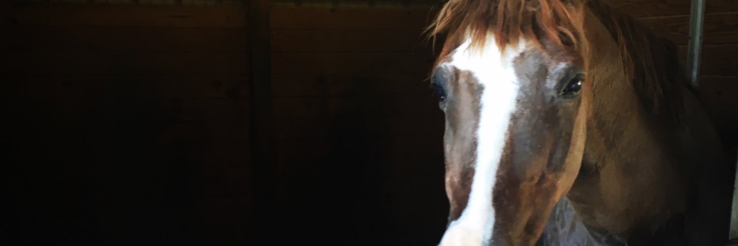 recentlyreese's profile banner image