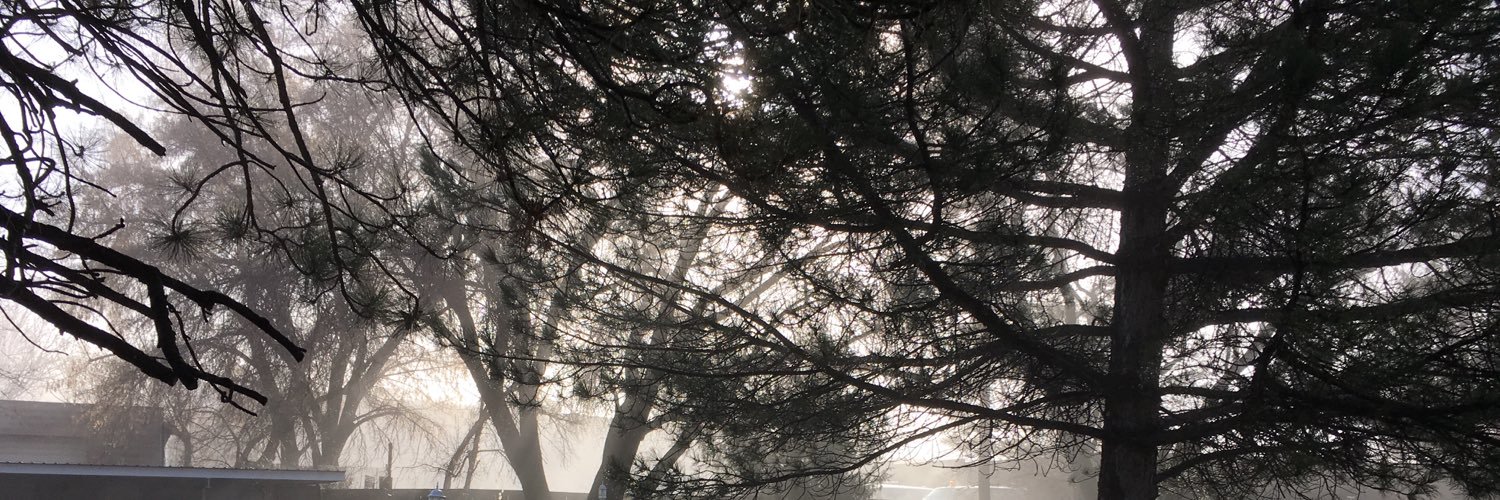 ccarklec's profile banner image