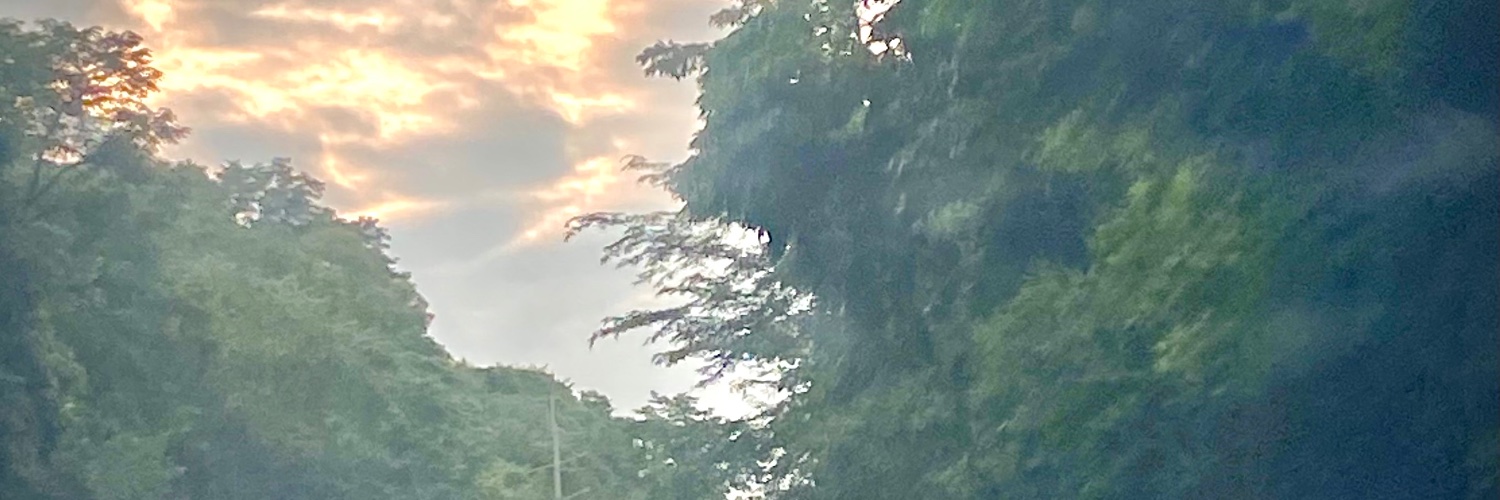 WayneBkkH's profile banner image
