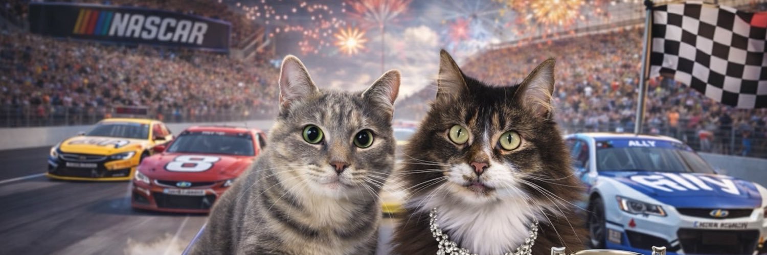 TheTigerBones's profile banner image