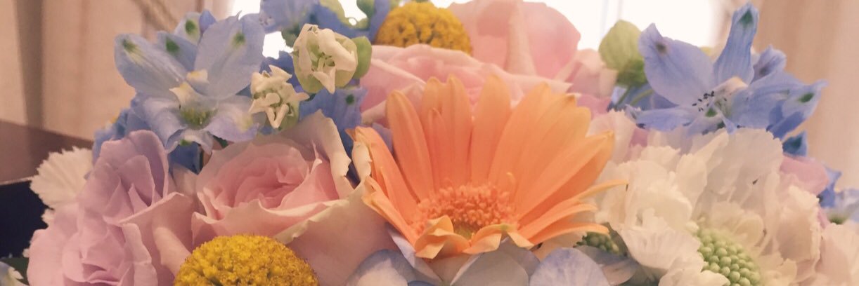 pluscitta's profile banner image