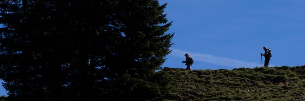 SilesJorge's profile banner image