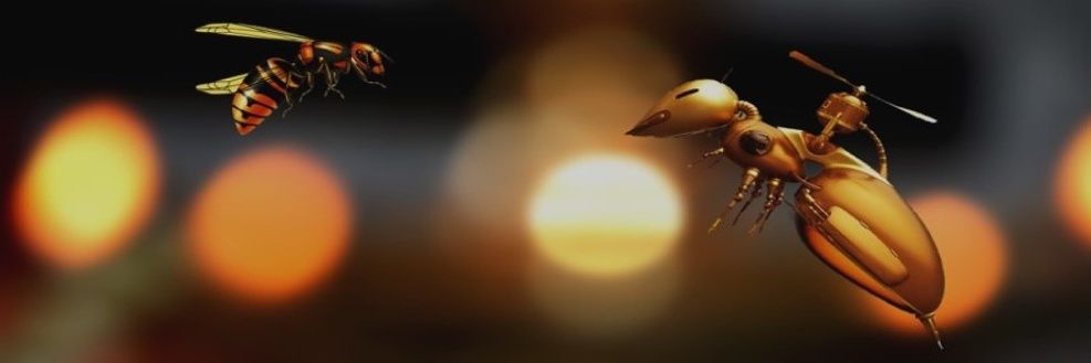 Martina Pumpat banner