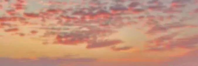 AvrilEmi's profile banner image