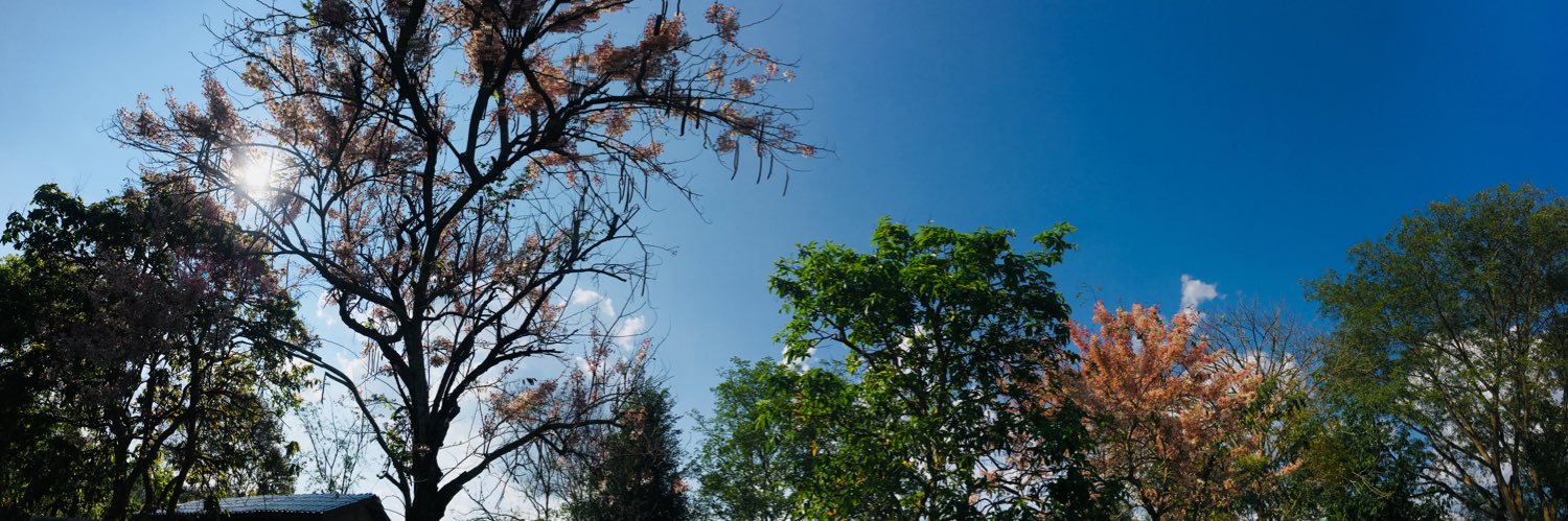 ouymini's profile banner image