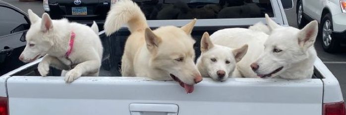 nivvx's profile banner image