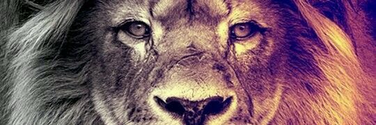 kenzoboss27's profile banner image