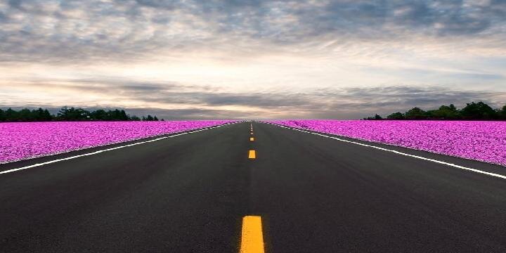 nailnerdz's profile banner image
