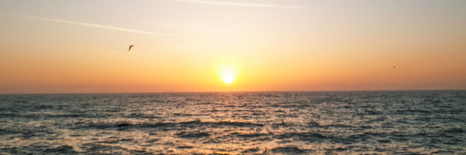 Rezaei0013's profile banner image