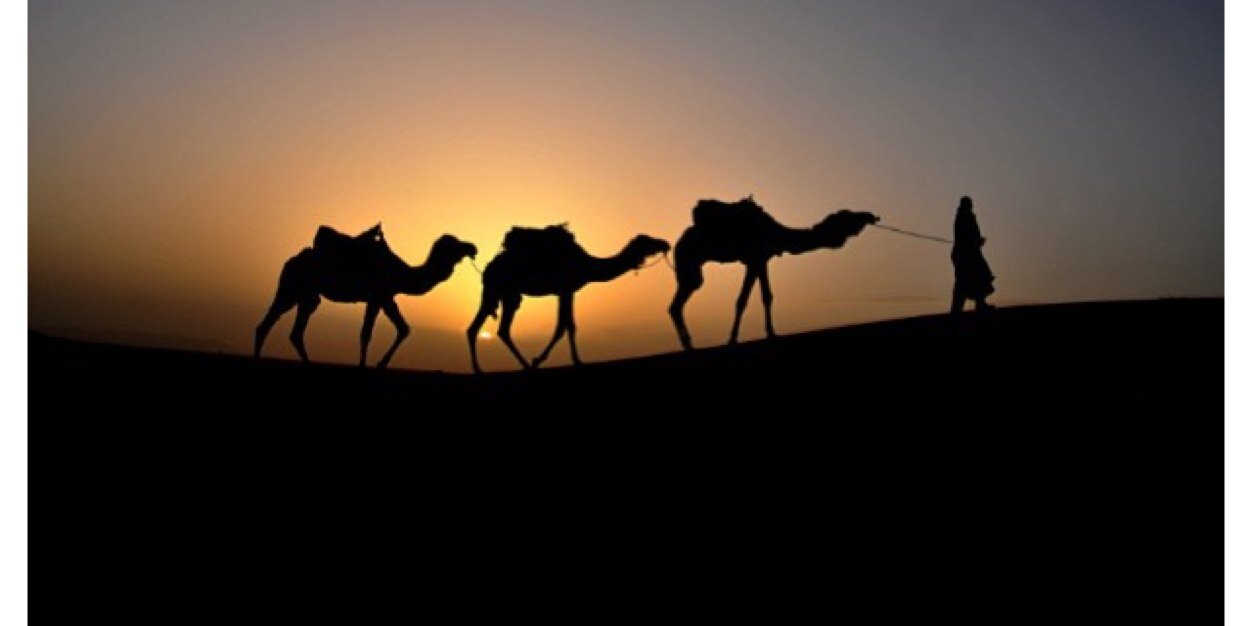 محمـد المشـاري banner