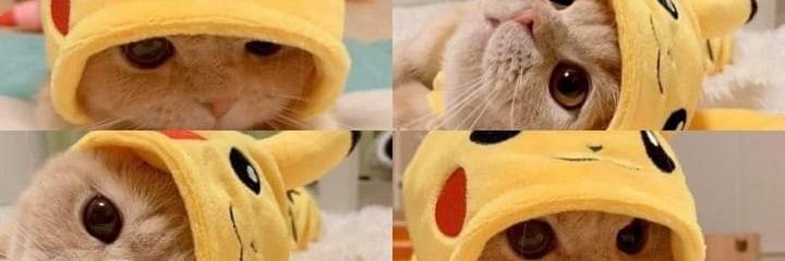 nupusJP's profile banner image