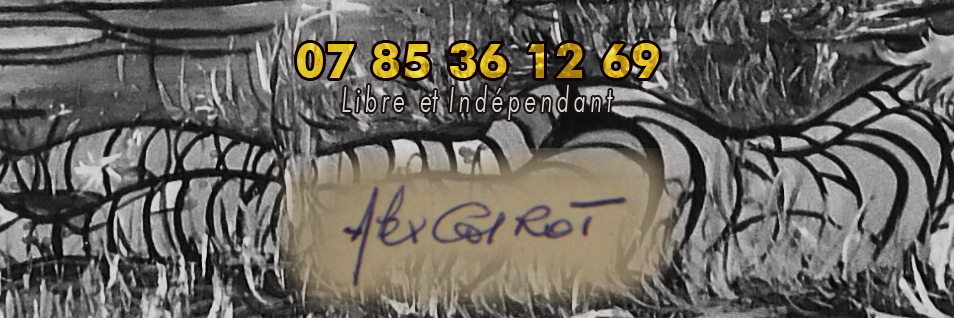 AlexandreGirot's profile banner image