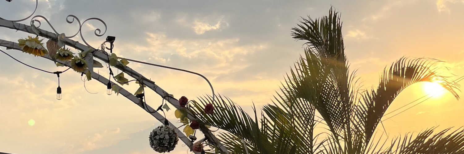 LalaPamelala's profile banner image