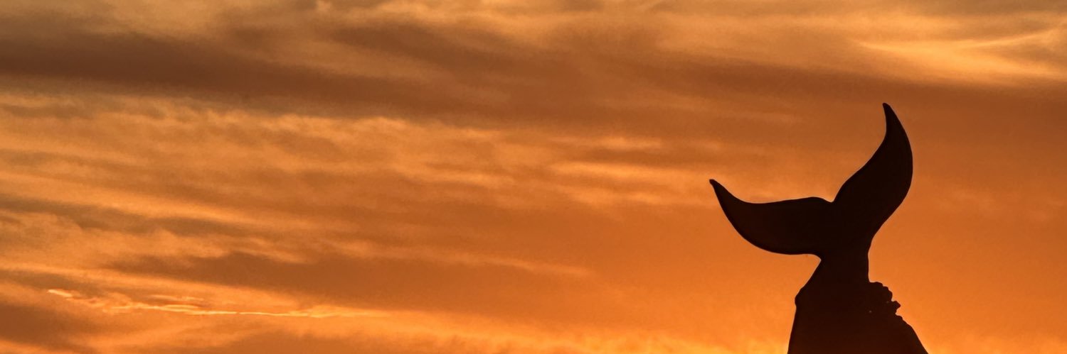 kellogsperaza's profile banner image