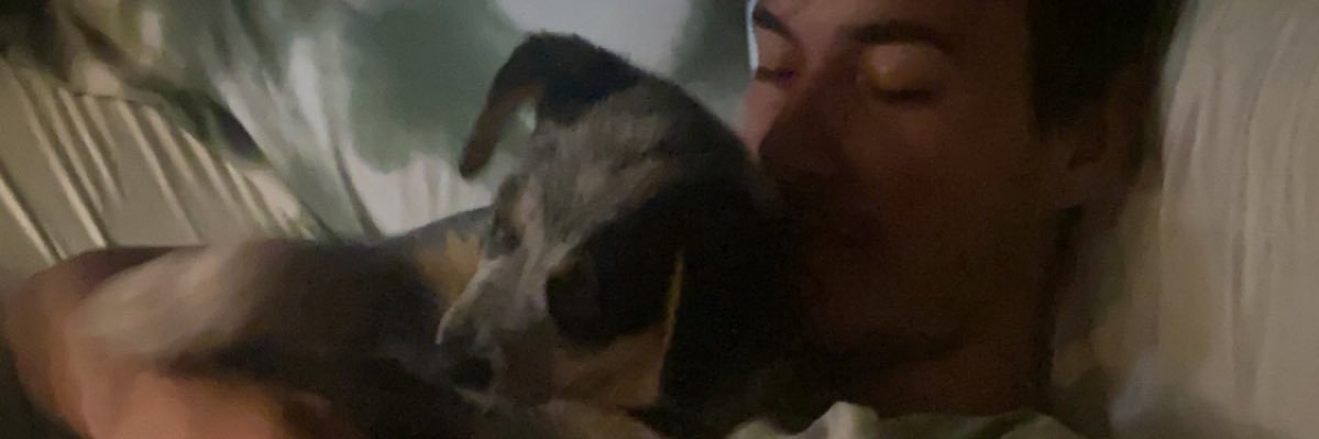 haileyfoisy1's profile banner image
