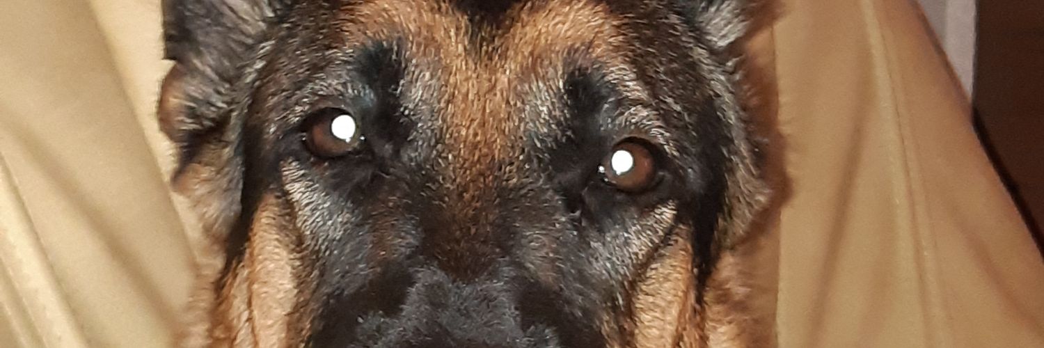 gabriv1's profile banner image