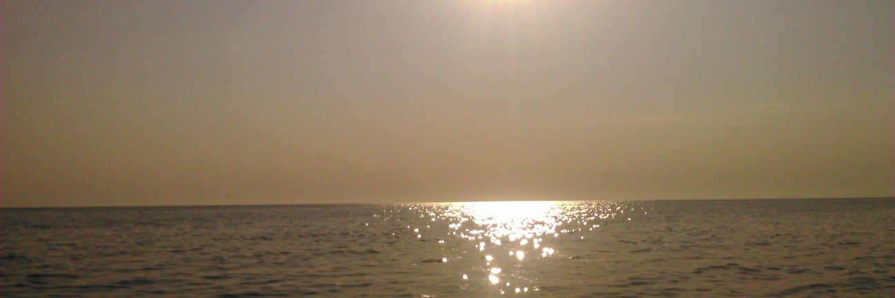 Vlada505's profile banner image