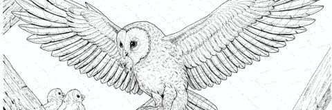SweatHawgIV's profile banner image