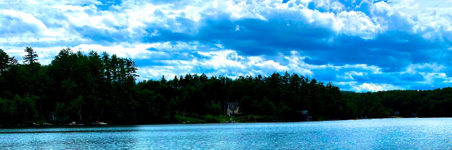 TaraFrizzl's profile banner image