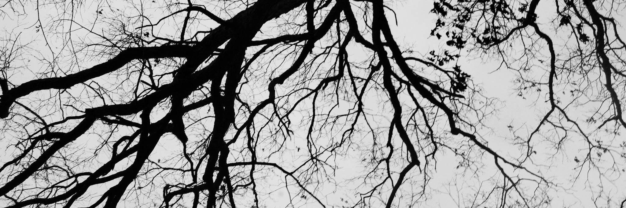 MarniDunning's profile banner image