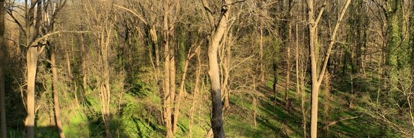 bykowicz Profile Banner