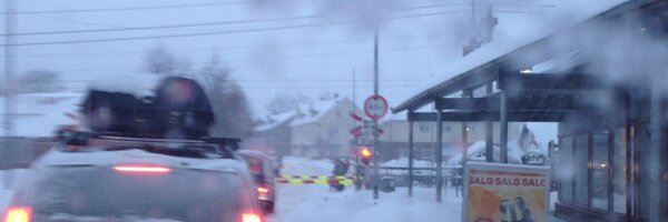 ellste Profile Banner