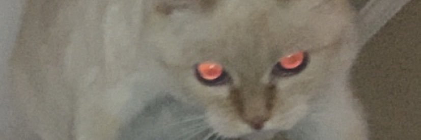 EE_peterson's profile banner image