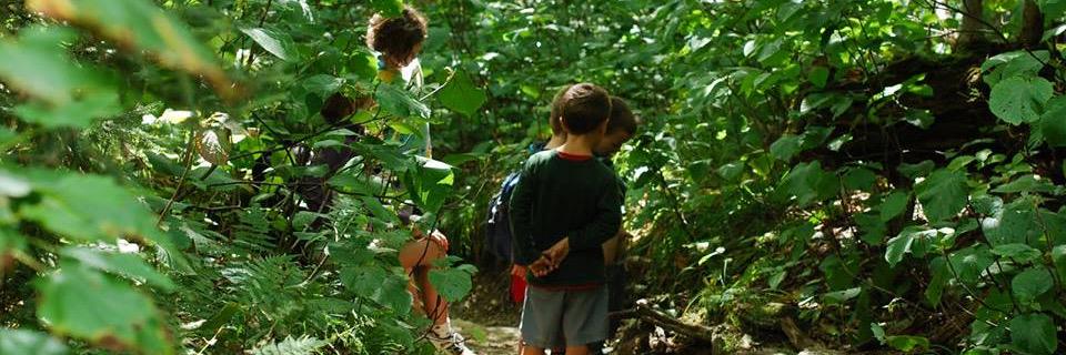 GetChildrenOutdoors banner