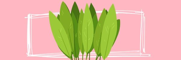 ULTRAMILK COKLAT banner
