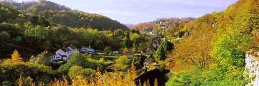 Gloucestershire LMC banner