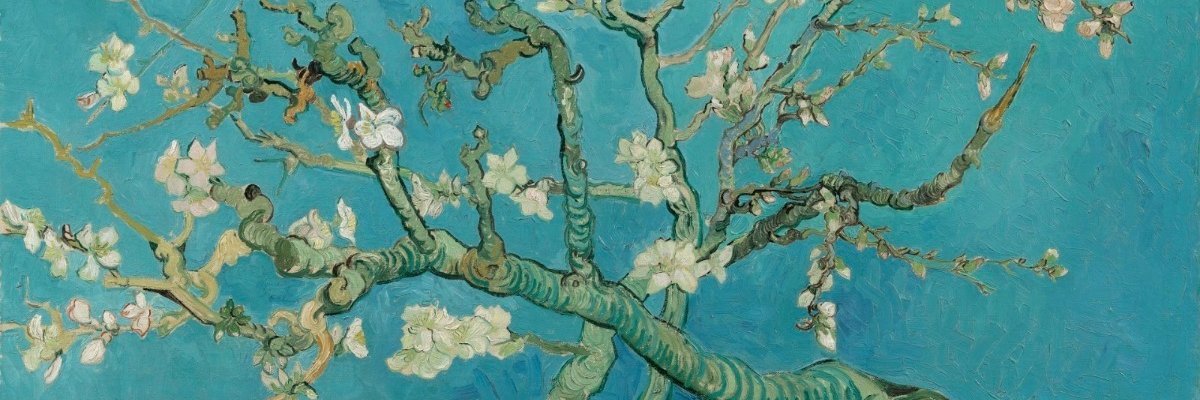 Sofi_chof's profile banner image