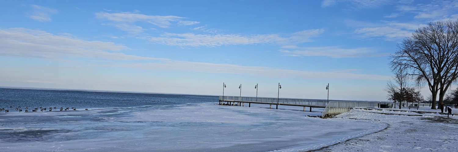 ⛅️Carol 🇨🇦🐝 banner