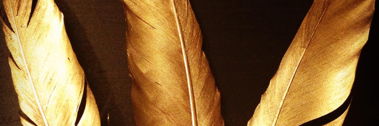 ericpuglisi's profile banner image