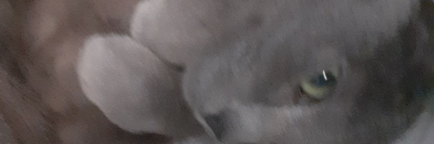 ManVSPlague's profile banner image