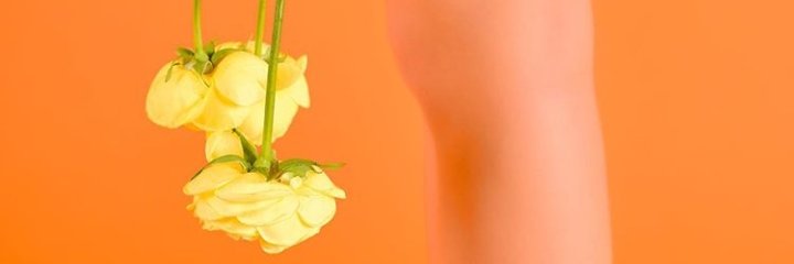 _Chocoppai's profile banner image