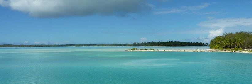 ClimateChangeFL's profile banner image