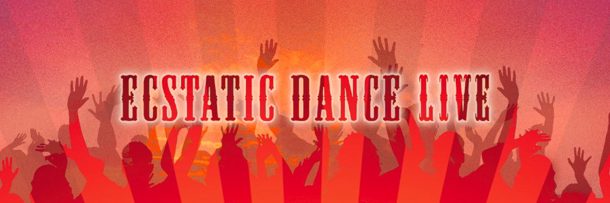 ecstaticDanceL's profile banner image