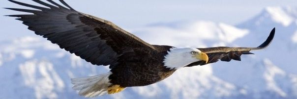 Nickolay_Kahn's profile banner image