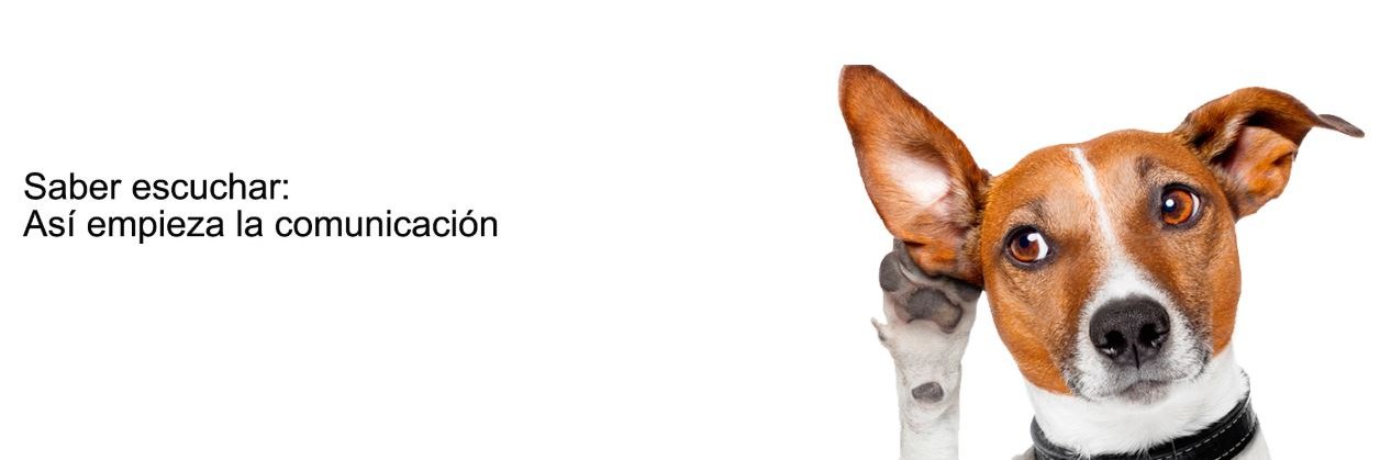 Ax Comunicación banner