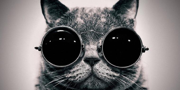 I_MattMurphy's profile banner image