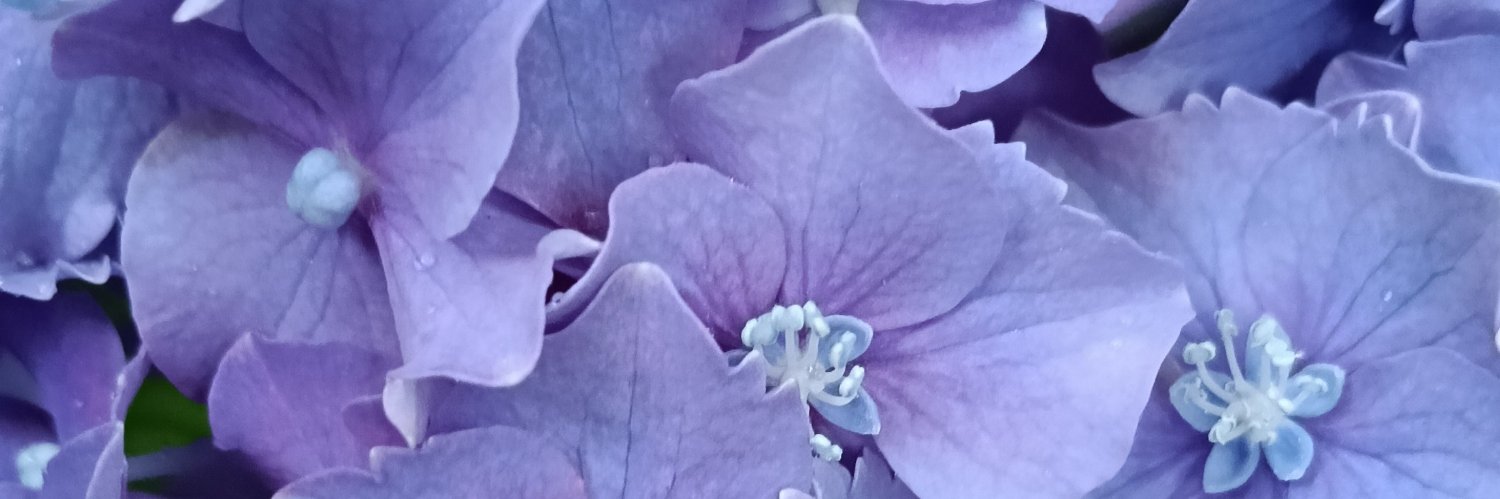 0omanju's profile banner image