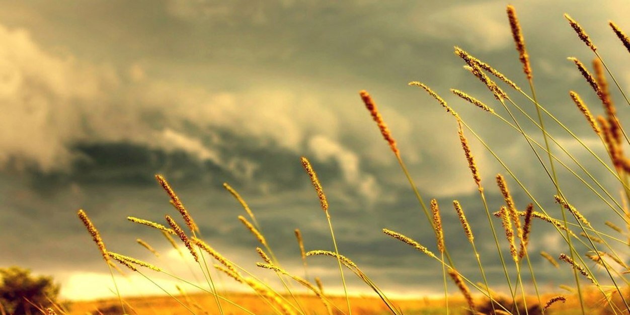 dholuvipul's profile banner image