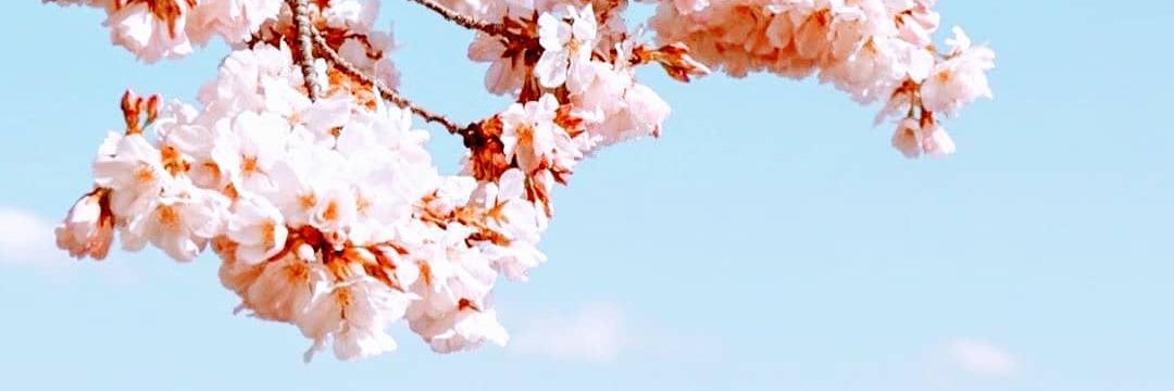 elyonezer's profile banner image