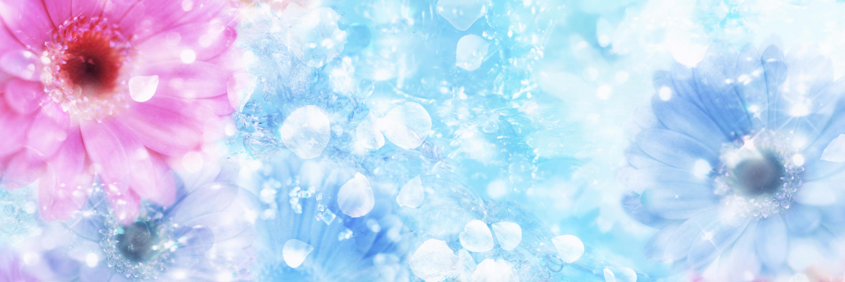 gudaevaa's profile banner image