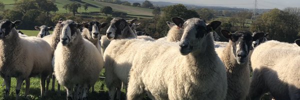 Sam1bar Profile Banner