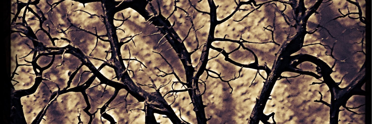 chablislover's profile banner image